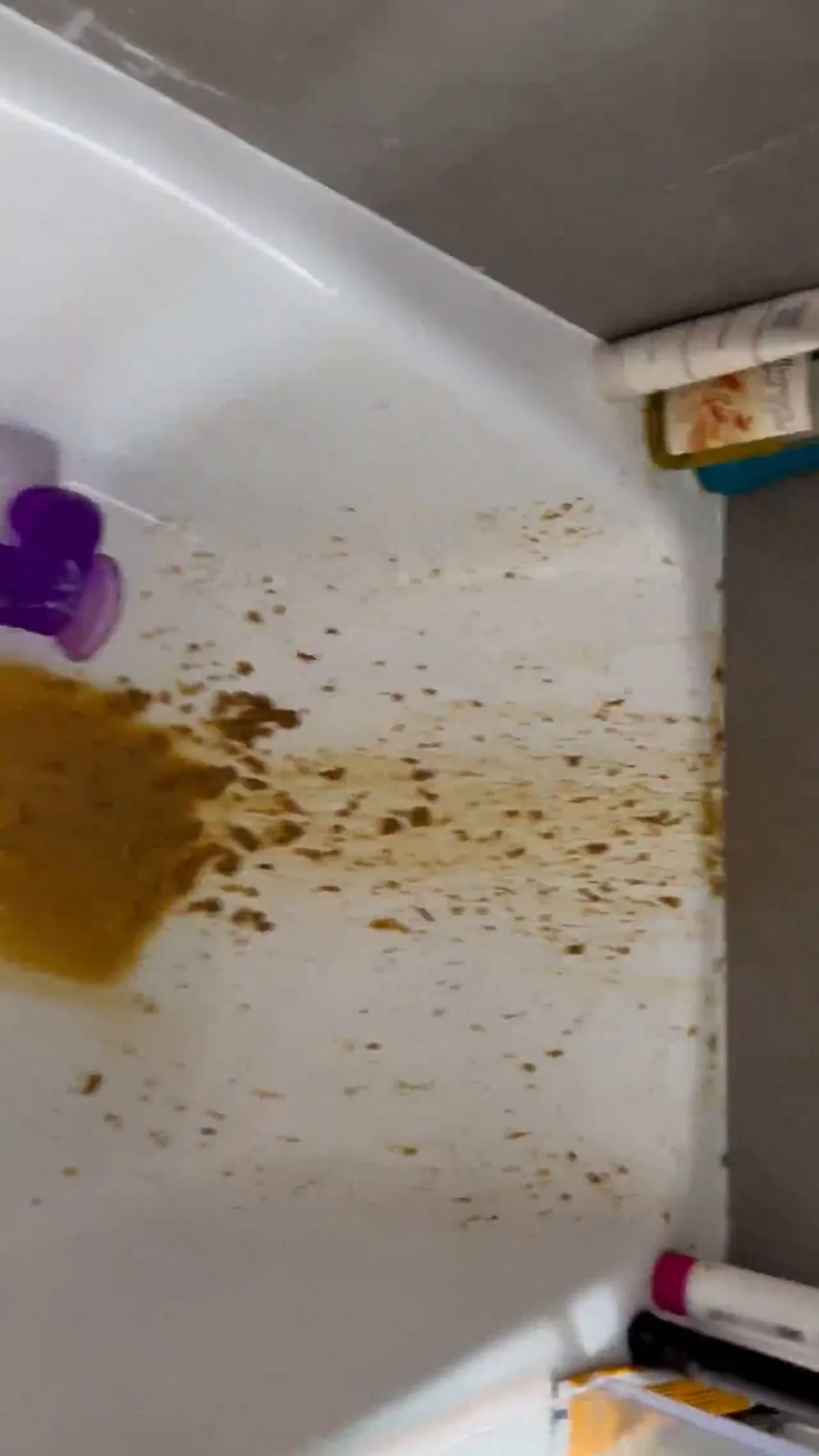 Kaitlyn Katsaros – My shit all over the shower lolll