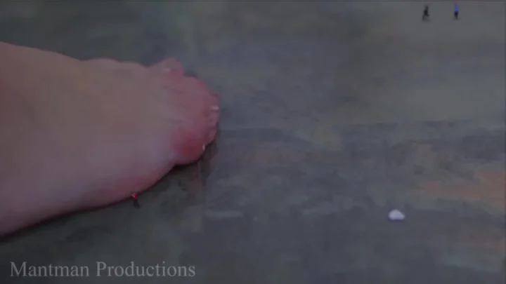 Mant Man Productions – Prison Break FX