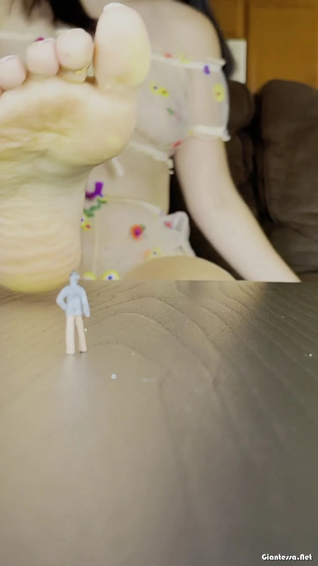 Giantess Wife