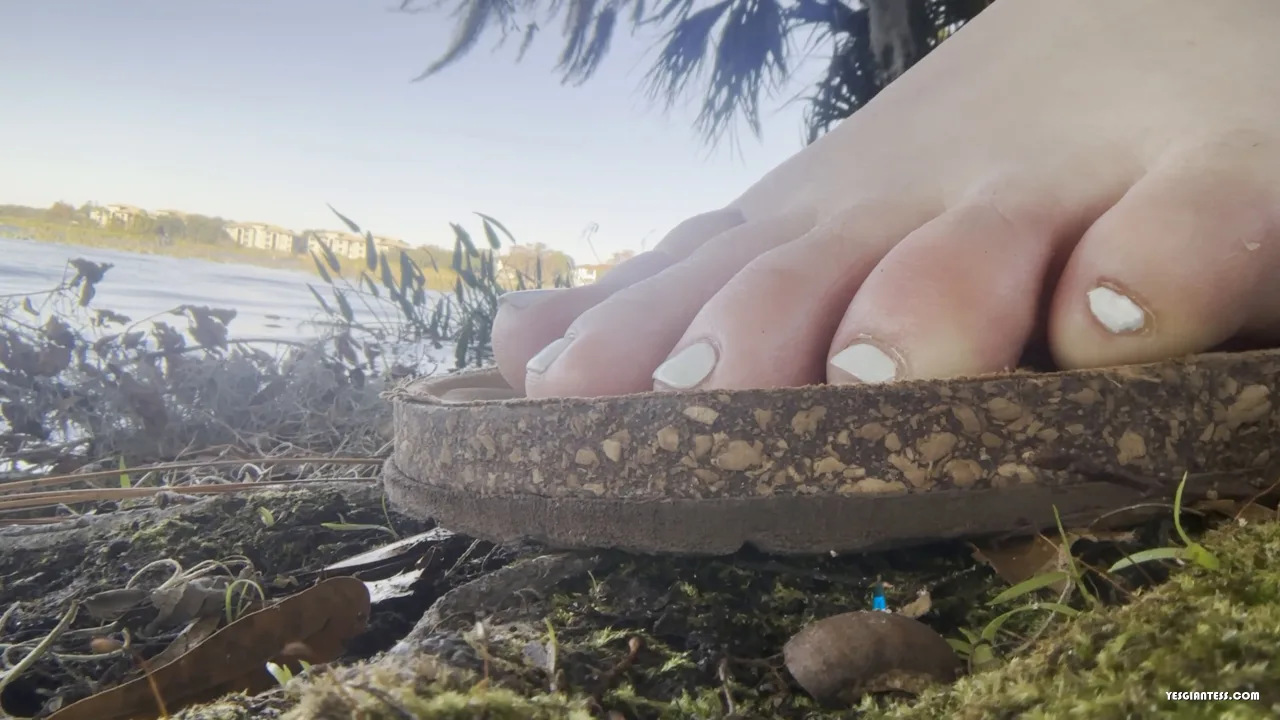 WorldUnseenFilms – Scarletts Relaxing Afternoon