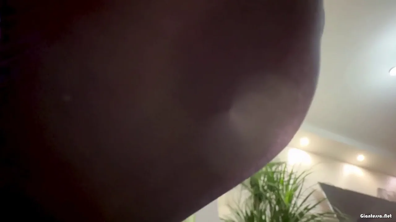 Mingshijie GTS – The Miniaturized Admirer POV