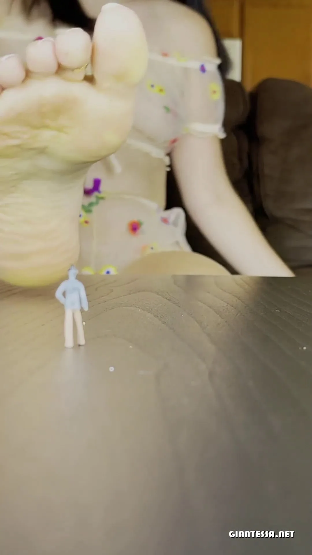 Giantess Wife