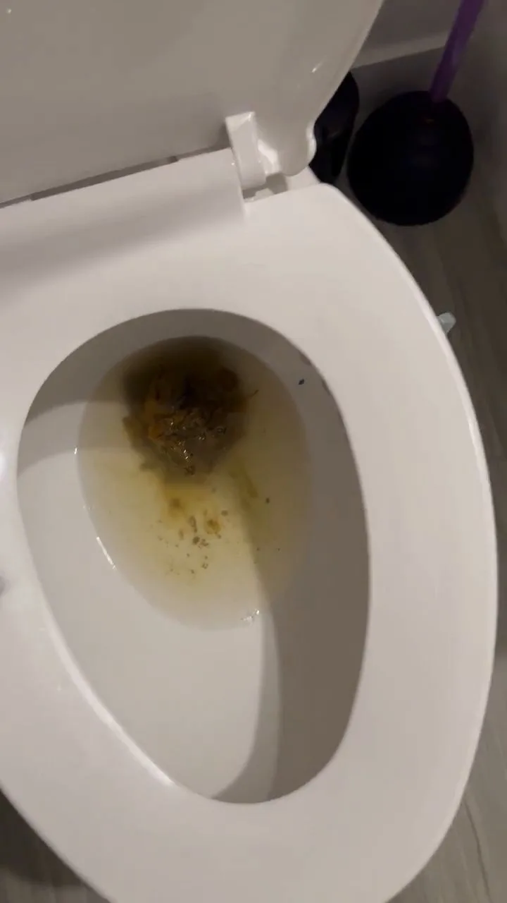 Kaitlyn Katsaros – Holy fuck lol
