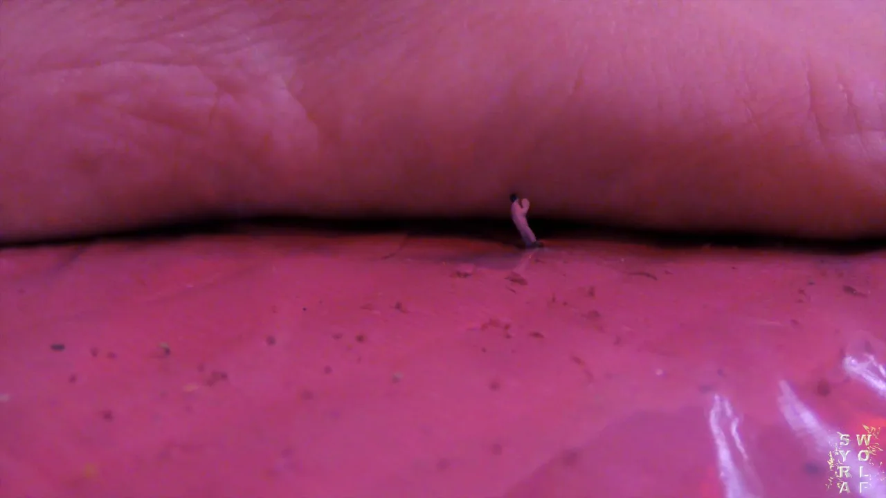 Syra Wolf – SyraWolf First Day At The Shrinking Lab