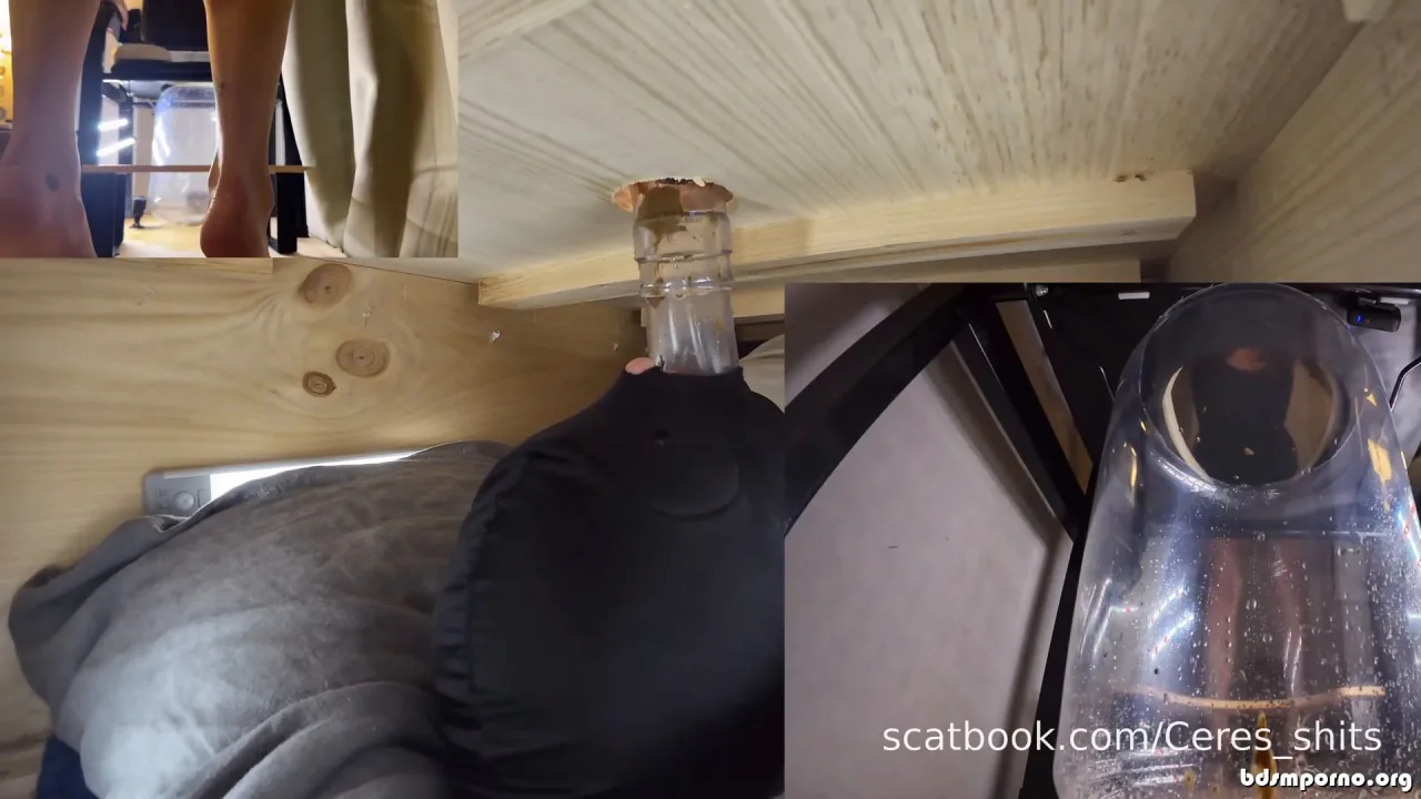 Goddess Ceres – The Ultimate Human Toilet Setup Configuration 2