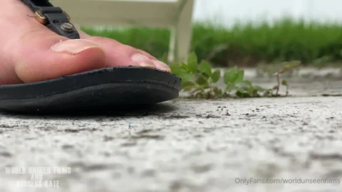 Sucked Up