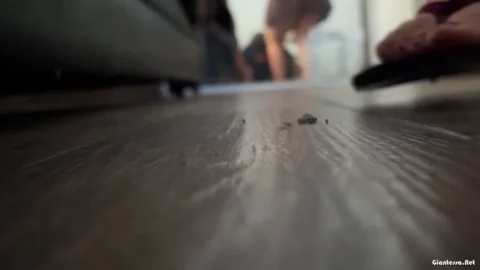 Thegoddessfilms – GIANTESS LATINA vs tiny soldiers