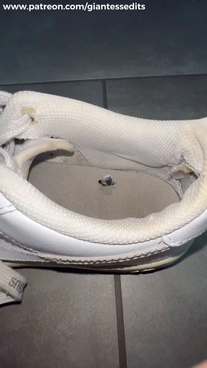 Giantess EditZ – Slave Licking The Insole Of Her Shoe Sfx