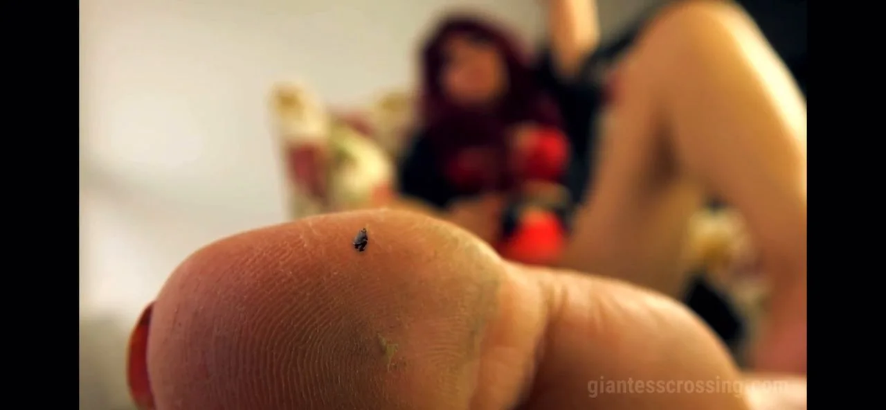 Giantess Loryelle – Unaware Ant People Massacre SFX