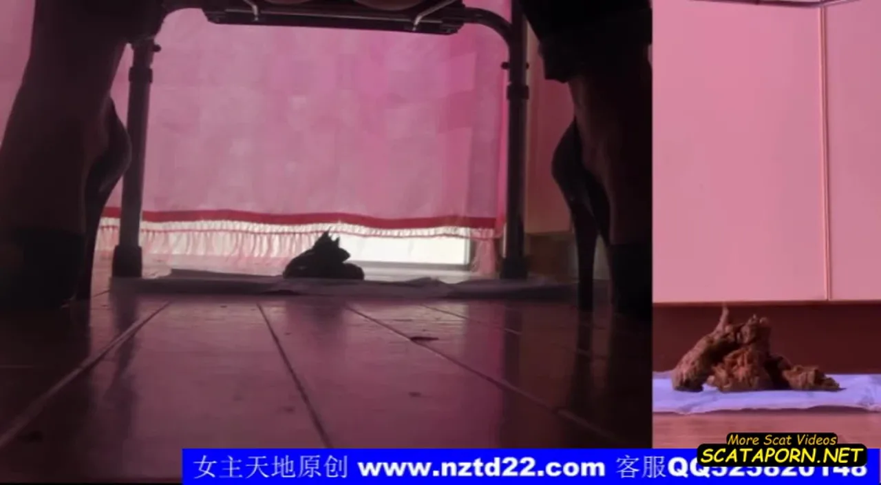 Chinese femdom 2491 SCAT – Fboom – Amateurs