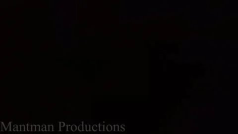 Mant Man Productions – Tinies Exploration FX